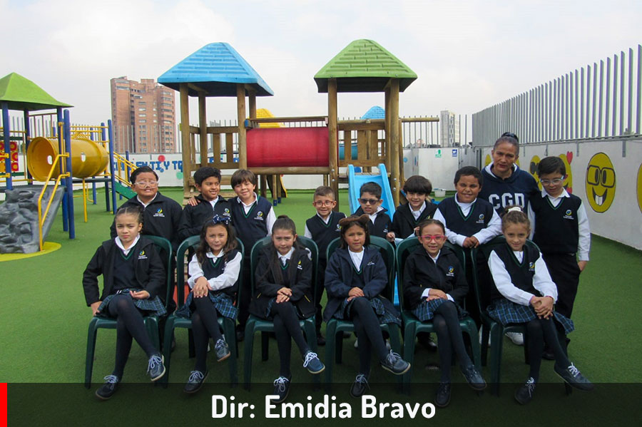 Emidia-Bravo